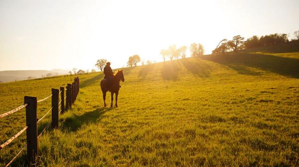 Les avantages de commencer l'équitation à Ambérieux-en-Dombes